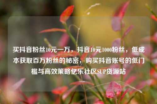 买抖音粉丝10元一万，抖音10元1000粉丝	，低成本获取百万粉丝的秘密，购买抖音账号的低门槛与高效策略亿乐社区SUP货源站  第1张