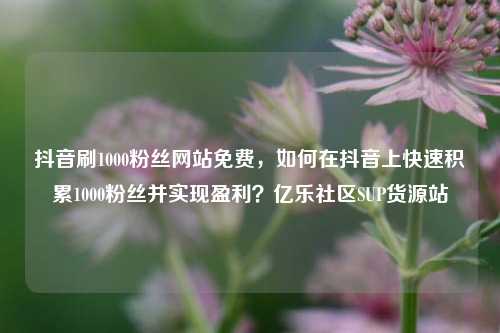 抖音刷1000粉丝网站免费，如何在抖音上快速积累1000粉丝并实现盈利？亿乐社区SUP货源站  第1张