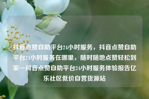 抖音点赞自助平台24小时服务，抖音点赞自助平台24小时服务在哪里	，随时随地点赞轻松到家—抖音点赞自助平台24小时服务体验报告亿乐社区低价自营货源站  第1张