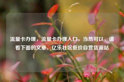流量卡办理，流量卡办理入口	，当然可以，请看下面的文章，亿乐社区低价自营货源站  第1张