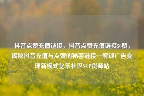 抖音点赞充值链接，抖音点赞充值链接50赞，揭秘抖音充值与点赞的秘密链接—解锁广告变现新模式亿乐社区SUP货源站  第1张