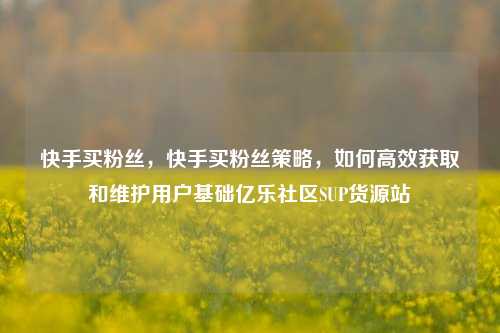 快手买粉丝，快手买粉丝策略	，如何高效获取和维护用户基础亿乐社区SUP货源站  第1张