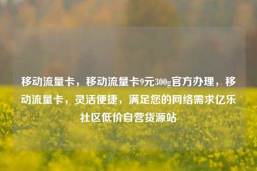 移动流量卡	，移动流量卡9元300g官方办理，移动流量卡，灵活便捷	，满足您的网络需求亿乐社区低价自营货源站  第1张