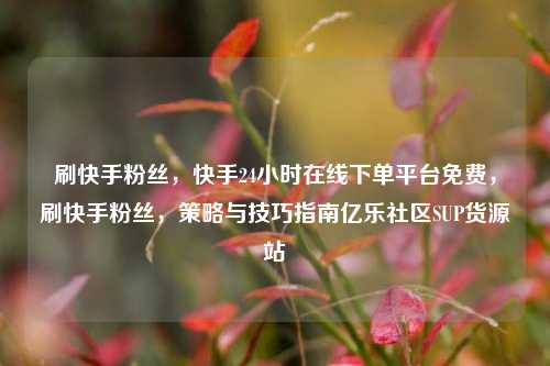 刷快手粉丝，快手24小时在线下单平台免费，刷快手粉丝	，策略与技巧指南亿乐社区SUP货源站  第1张
