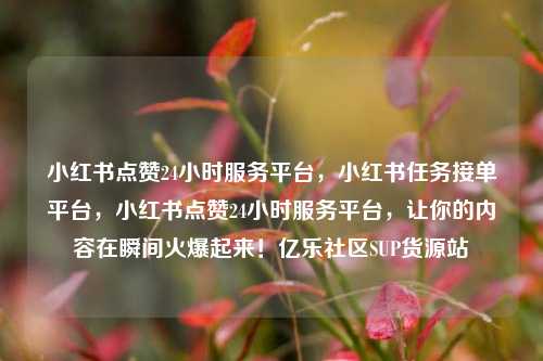 小红书点赞24小时服务平台	，小红书任务接单平台，小红书点赞24小时服务平台，让你的内容在瞬间火爆起来！亿乐社区SUP货源站  第1张