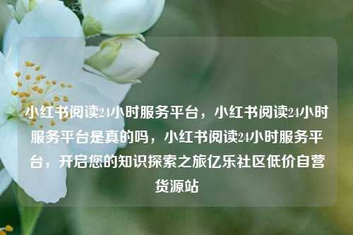 小红书阅读24小时服务平台，小红书阅读24小时服务平台是真的吗，小红书阅读24小时服务平台	，开启您的知识探索之旅亿乐社区低价自营货源站  第1张