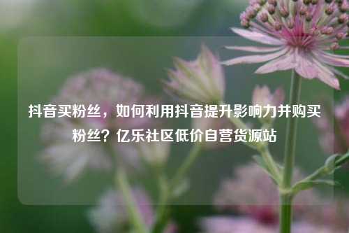 抖音买粉丝，如何利用抖音提升影响力并购买粉丝？亿乐社区低价自营货源站  第1张