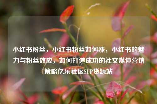 小红书粉丝，小红书粉丝如何涨	，小红书的魅力与粉丝效应，如何打造成功的社交媒体营销策略亿乐社区SUP货源站  第1张