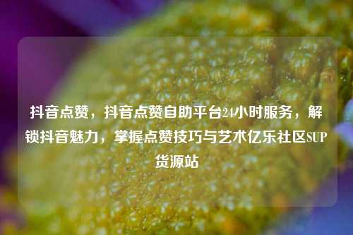 抖音点赞，抖音点赞自助平台24小时服务	，解锁抖音魅力，掌握点赞技巧与艺术亿乐社区SUP货源站  第1张