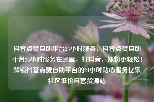 抖音点赞自助平台24小时服务，抖音点赞自助平台24小时服务在哪里，打抖音	，涨粉更轻松！解锁抖音点赞自助平台的24小时贴心服务亿乐社区低价自营货源站  第1张