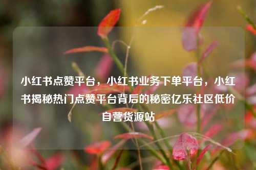小红书点赞平台，小红书业务下单平台	，小红书揭秘热门点赞平台背后的秘密亿乐社区低价自营货源站  第1张