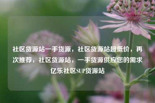 社区货源站一手货源，社区货源站超低价	，再次推荐，社区货源站，一手货源供应您的需求亿乐社区SUP货源站  第1张
