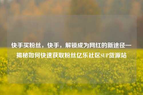 快手买粉丝，快手	，解锁成为网红的新途径—揭秘如何快速获取粉丝亿乐社区SUP货源站  第1张