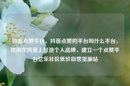 抖音点赞平台	，抖音点赞的平台叫什么平台，如何在抖音上打造个人品牌，建立一个点赞平台亿乐社区低价自营货源站  第1张