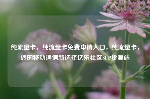 纯流量卡	，纯流量卡免费申请入口，纯流量卡，您的移动通信新选择亿乐社区SUP货源站  第1张