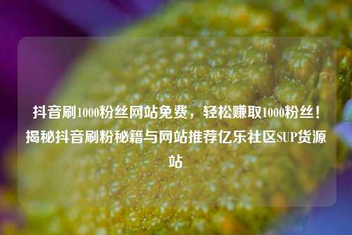 抖音刷1000粉丝网站免费	，轻松赚取1000粉丝！揭秘抖音刷粉秘籍与网站推荐亿乐社区SUP货源站  第1张