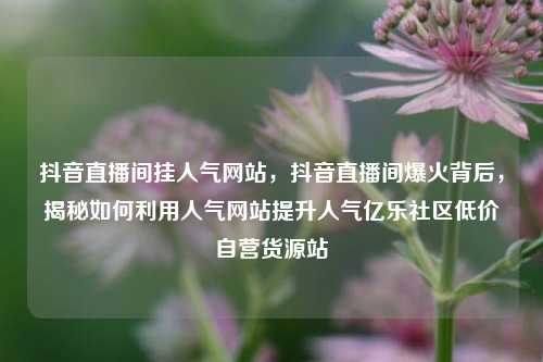 抖音直播间挂人气网站，抖音直播间爆火背后，揭秘如何利用人气网站提升人气亿乐社区低价自营货源站  第1张