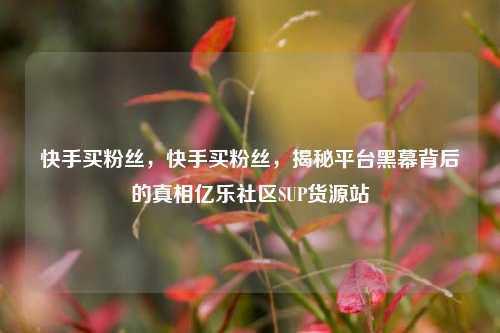 快手买粉丝，快手买粉丝，揭秘平台黑幕背后的真相亿乐社区SUP货源站  第1张