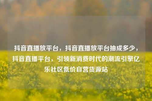 抖音直播放平台	，抖音直播放平台抽成多少，抖音直播平台，引领新消费时代的潮流引擎亿乐社区低价自营货源站  第1张