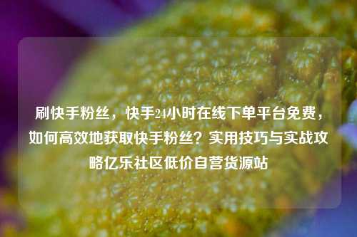 刷快手粉丝	，快手24小时在线下单平台免费，如何高效地获取快手粉丝？实用技巧与实战攻略亿乐社区低价自营货源站  第1张