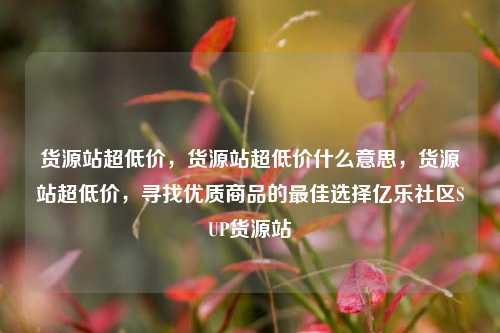 货源站超低价，货源站超低价什么意思，货源站超低价	，寻找优质商品的最佳选择亿乐社区SUP货源站  第1张