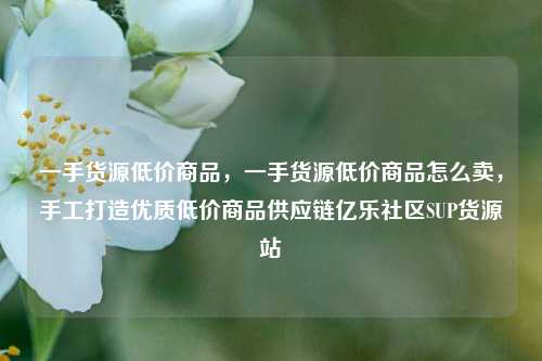 一手货源低价商品	，一手货源低价商品怎么卖，手工打造优质低价商品供应链亿乐社区SUP货源站  第1张
