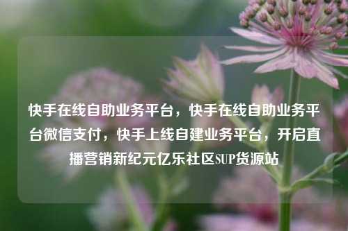 快手在线自助业务平台，快手在线自助业务平台微信支付	，快手上线自建业务平台，开启直播营销新纪元亿乐社区SUP货源站  第1张