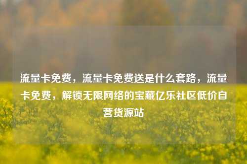 流量卡免费，流量卡免费送是什么套路，流量卡免费，解锁无限网络的宝藏亿乐社区低价自营货源站  第1张