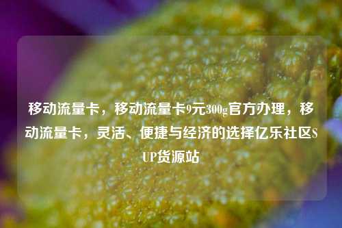 移动流量卡，移动流量卡9元300g官方办理，移动流量卡，灵活、便捷与经济的选择亿乐社区SUP货源站  第1张