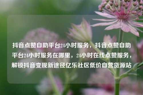 抖音点赞自助平台24小时服务，抖音点赞自助平台24小时服务在哪里	，24小时在线点赞服务，解锁抖音变现新途径亿乐社区低价自营货源站  第1张