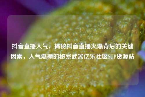 抖音直播人气，揭秘抖音直播火爆背后的关键因素	，人气爆棚的秘密武器亿乐社区SUP货源站  第1张