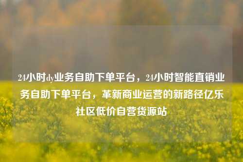 24小时dy业务自助下单平台，24小时智能直销业务自助下单平台，革新商业运营的新路径亿乐社区低价自营货源站  第1张