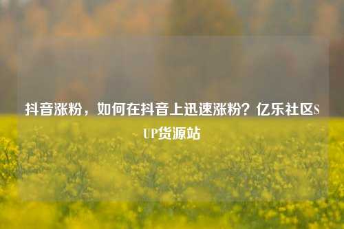 抖音涨粉，如何在抖音上迅速涨粉？亿乐社区SUP货源站  第1张