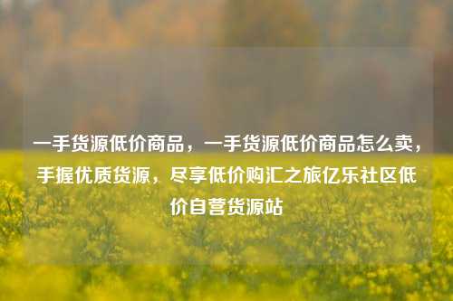 一手货源低价商品，一手货源低价商品怎么卖	，手握优质货源，尽享低价购汇之旅亿乐社区低价自营货源站  第1张