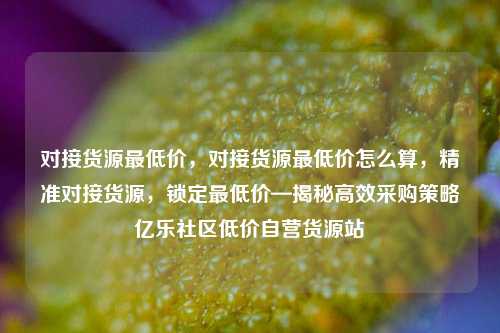 对接货源最低价	，对接货源最低价怎么算，精准对接货源，锁定最低价—揭秘高效采购策略亿乐社区低价自营货源站  第1张