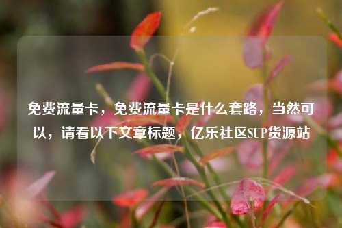 免费流量卡，免费流量卡是什么套路，当然可以	，请看以下文章标题，亿乐社区SUP货源站  第1张
