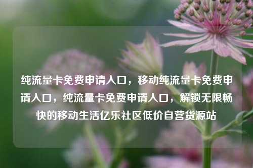 纯流量卡免费申请入口，移动纯流量卡免费申请入口，纯流量卡免费申请入口	，解锁无限畅快的移动生活亿乐社区低价自营货源站  第1张