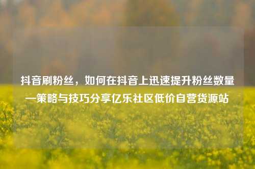 抖音刷粉丝，如何在抖音上迅速提升粉丝数量—策略与技巧分享亿乐社区低价自营货源站  第1张