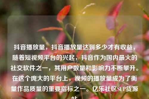 抖音播放量，抖音播放量达到多少才有收益，随着短视频平台的兴起，抖音作为国内最火的社交软件之一，其用户数量和影响力不断攀升。在这个庞大的平台上，视频的播放量成为了衡量作品质量的重要指标之一。亿乐社区SUP货源站  第1张