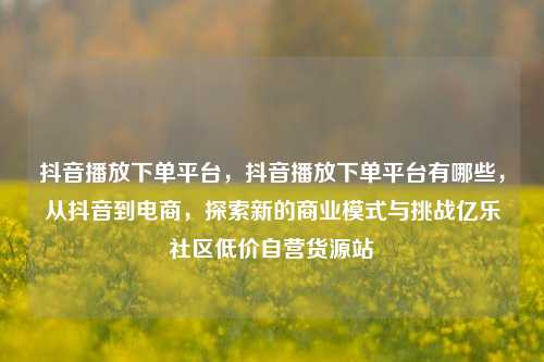 抖音播放下单平台，抖音播放下单平台有哪些，从抖音到电商	，探索新的商业模式与挑战亿乐社区低价自营货源站  第1张