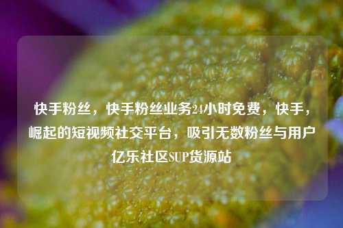 快手粉丝，快手粉丝业务24小时免费，快手，崛起的短视频社交平台，吸引无数粉丝与用户亿乐社区SUP货源站  第1张