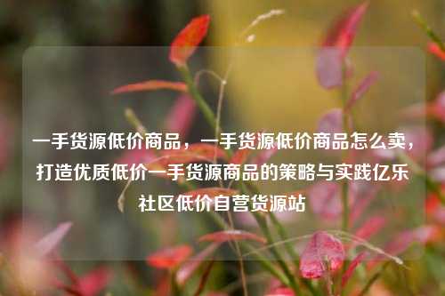 一手货源低价商品，一手货源低价商品怎么卖，打造优质低价一手货源商品的策略与实践亿乐社区低价自营货源站  第1张