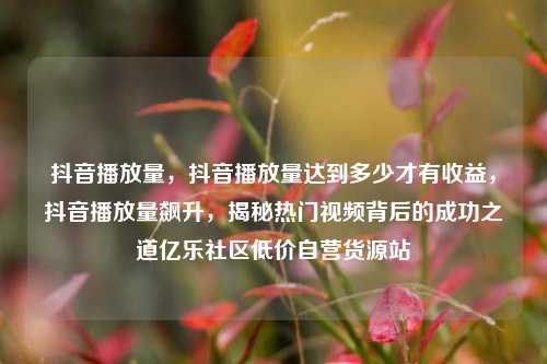 抖音播放量	，抖音播放量达到多少才有收益，抖音播放量飙升，揭秘热门视频背后的成功之道亿乐社区低价自营货源站  第1张