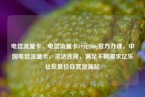 电信流量卡，电信流量卡19元200g官方办理，中国电信流量卡，灵活选择，满足不同需求亿乐社区低价自营货源站  第1张