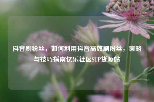抖音刷粉丝，如何利用抖音高效刷粉丝，策略与技巧指南亿乐社区SUP货源站  第1张