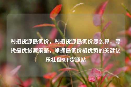 对接货源最低价	，对接货源最低价怎么算，寻找最优货源策略，掌握最低价格优势的关键亿乐社区SUP货源站  第1张