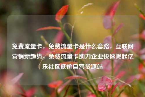 免费流量卡，免费流量卡是什么套路，互联网营销新趋势	，免费流量卡助力企业快速崛起亿乐社区低价自营货源站  第1张