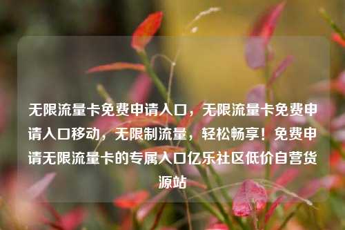 无限流量卡免费申请入口，无限流量卡免费申请入口移动，无限制流量	，轻松畅享！免费申请无限流量卡的专属入口亿乐社区低价自营货源站  第1张