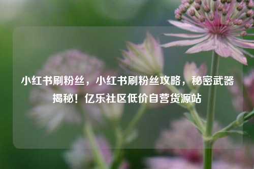 小红书刷粉丝	，小红书刷粉丝攻略，秘密武器揭秘！亿乐社区低价自营货源站  第1张
