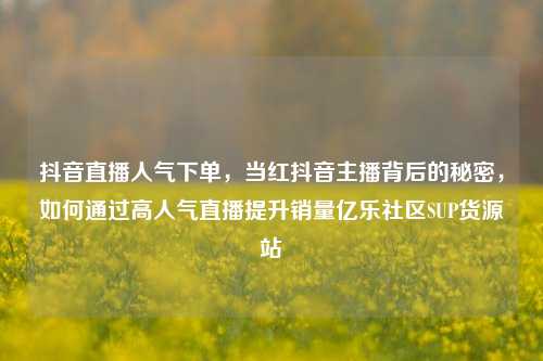 抖音直播人气下单，当红抖音主播背后的秘密，如何通过高人气直播提升销量亿乐社区SUP货源站  第1张